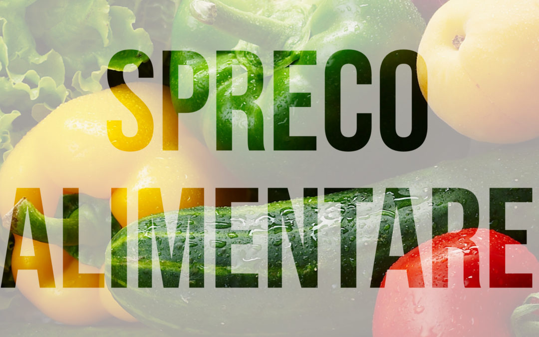 Spreco Alimentare: le misure del Parlamento europeo per ridurlo!