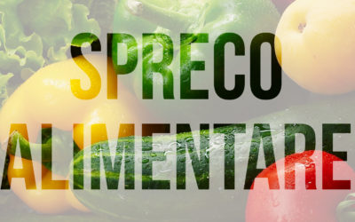 Spreco Alimentare: le misure del Parlamento europeo per ridurlo!