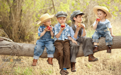 La convivialità alla base della Nuova Piramide Alimentare della Dieta Mediterranea